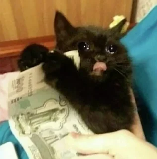 Sticker @karinnok - 6