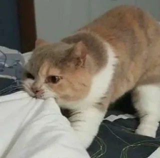 Sticker @karinnok - 9