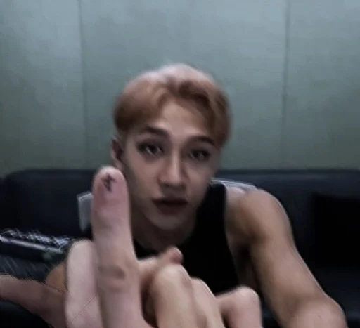 Человек человеческое лицо комнатный