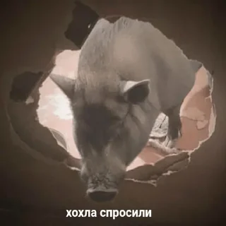 Sticker стасямба - 1