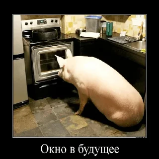 Sticker стасямба - 6