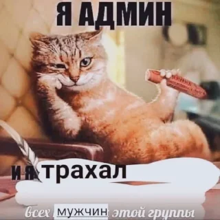 Sticker стасямба - 8