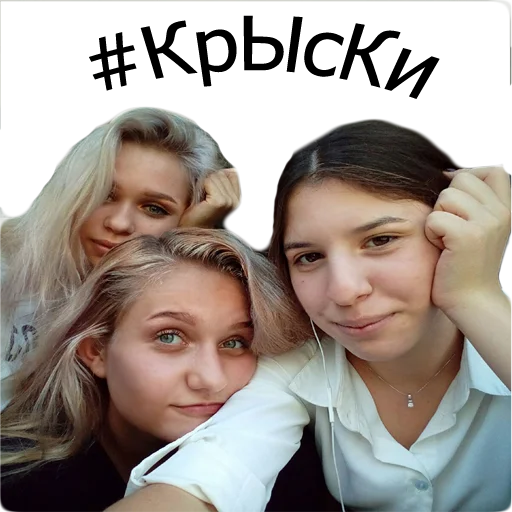 Sticker sstonksss - 1