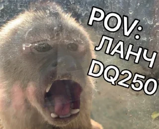 Стикер CCCREW - 5