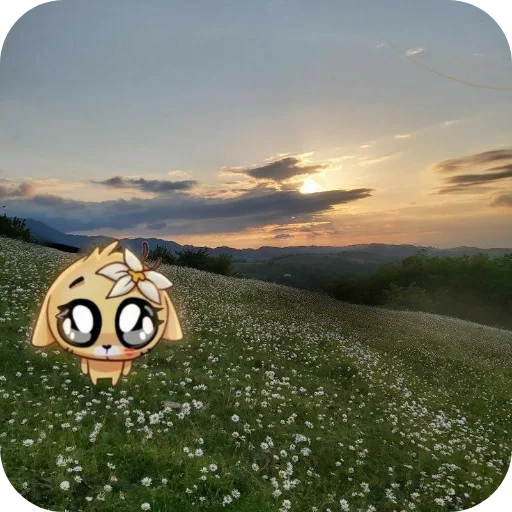 Sticker starrunll - 1