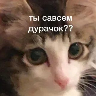 Sticker от статуи - 2