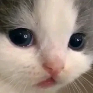 Sticker от статуи - 6