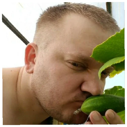 Sticker stavochnygym - 8