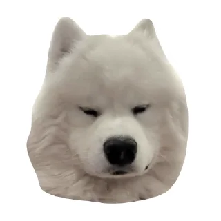 Стикер @stayadog stickers - 7