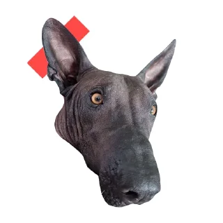Стикер @stayadog stickers - 10