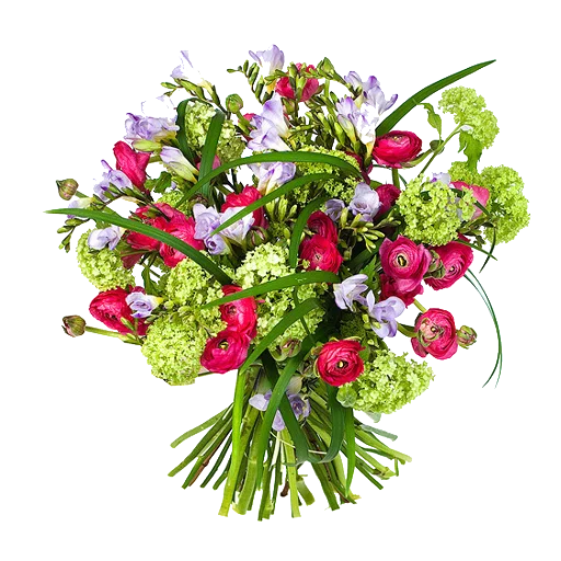 цветок растение аранжировка цветов