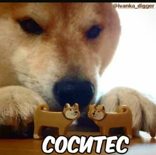 Стикерпак Тори @lijoong by @fStikBot - СМС