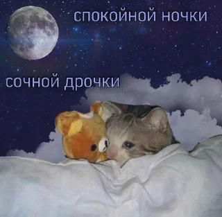 луна животное СМС