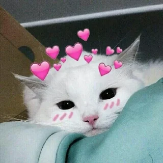 Sticker Котеки ฅ(•ㅅ•❀)ฅ - 6