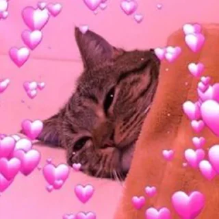 Sticker Котеки ฅ(•ㅅ•❀)ฅ - 2