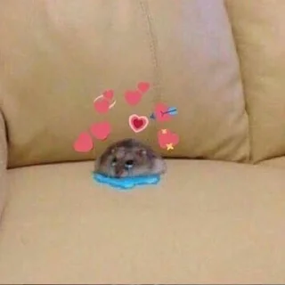 Sticker Котеки ฅ(•ㅅ•❀)ฅ - 8