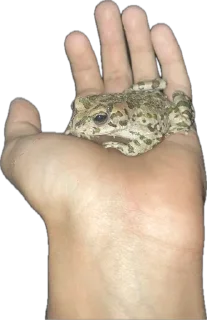 Стикер степан - 7