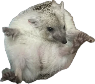 Стикер степан - 8