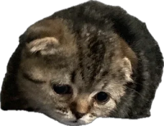 Стикер степан - 9