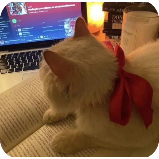 Sticker sti_29893_by_TgEmodziBot - 1