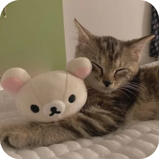 Sticker sti_29893_by_TgEmodziBot - 1