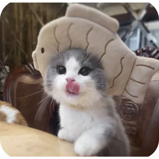 Sticker sti_29893_by_TgEmodziBot - 1