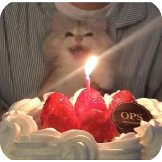 Стикер κ᧐ᴛᥙκᥙ @kitiisi @iloveekl - 7