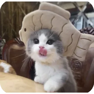 Стикер κ᧐ᴛᥙκᥙ @kitiisi @iloveekl - 0