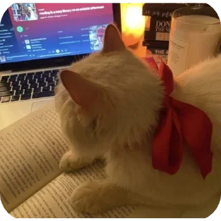 Стикер κ᧐ᴛᥙκᥙ @kitiisi @iloveekl - 11