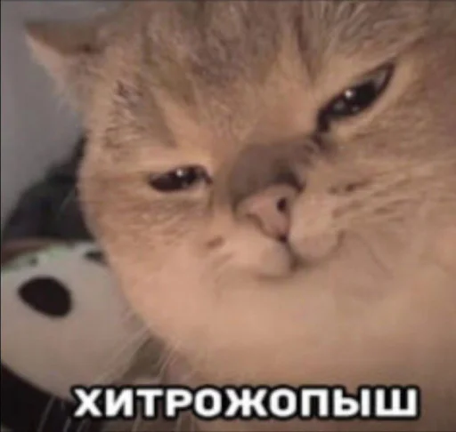 Omertà @TgEmodziBot - 