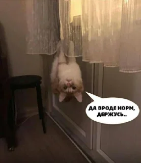 Стикер Omertà @TgEmodziBot - 2