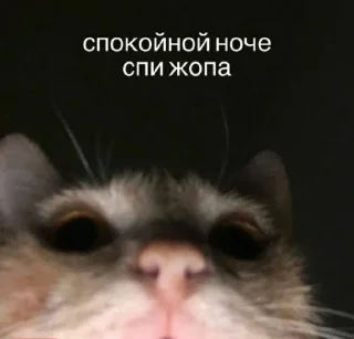 Стикер Omertà @TgEmodziBot - 3