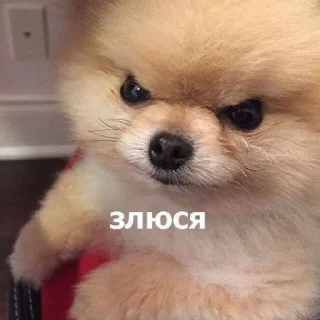 Стикер Omertà @TgEmodziBot - 8