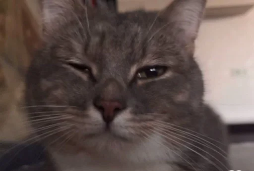 Sticker sti_f9d33_by_TgEmodziBot - 1