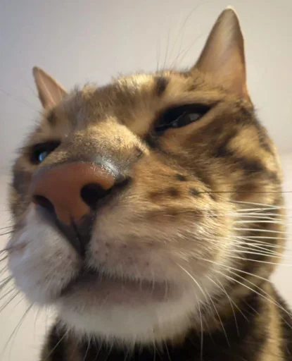 Sticker sti_f9d33_by_TgEmodziBot - 1