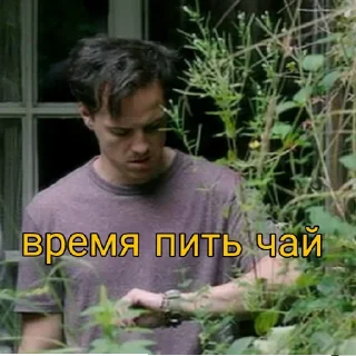 Sticker 60 оттенков Камберскоттов - 10