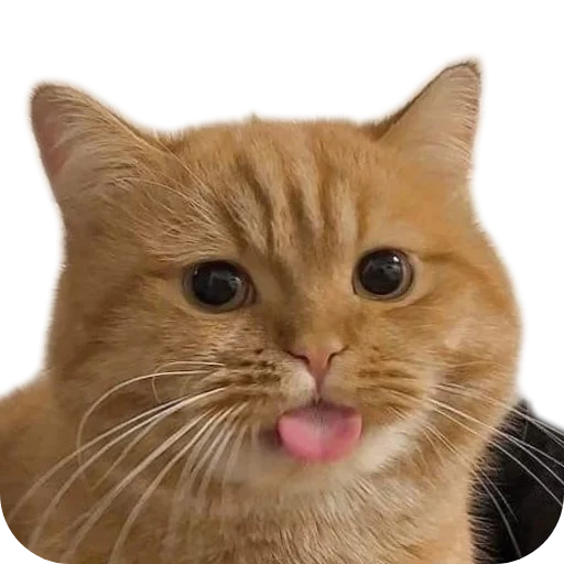 Какульки) • @StickBook18 - 