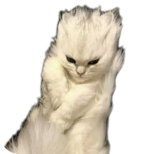 Sticker stickHUB18_34 - 1