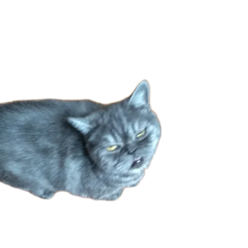 Sticker stickHUB18_34 - 1