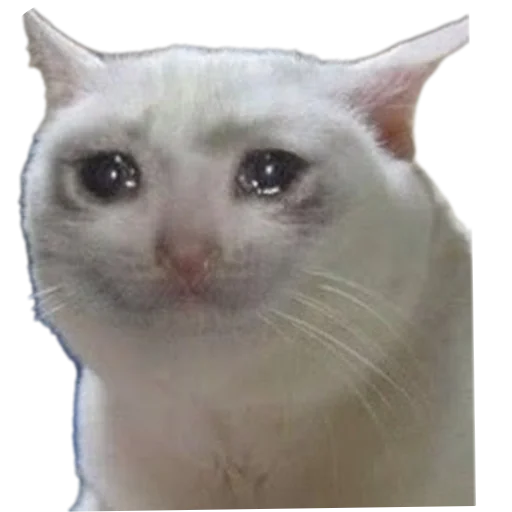 Sticker stickHUB18_34 - 1