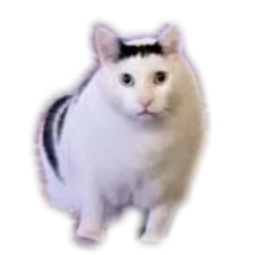 Sticker stickHUB18_34 - 1