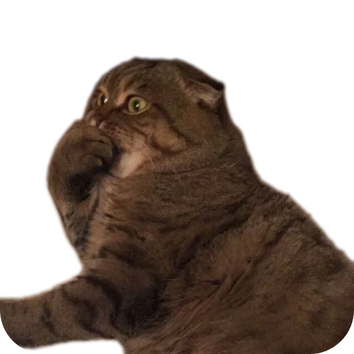 Sticker stickHUB18_34 - 1