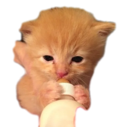 Sticker stickHUB18_34 - 1