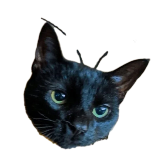 Стикер stickHUB18_34 - 1