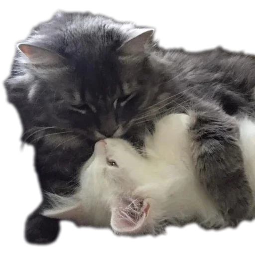 Sticker stickHUB18_34 - 1