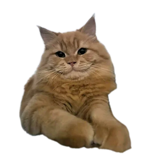 Sticker stickHUB18_34 - 1