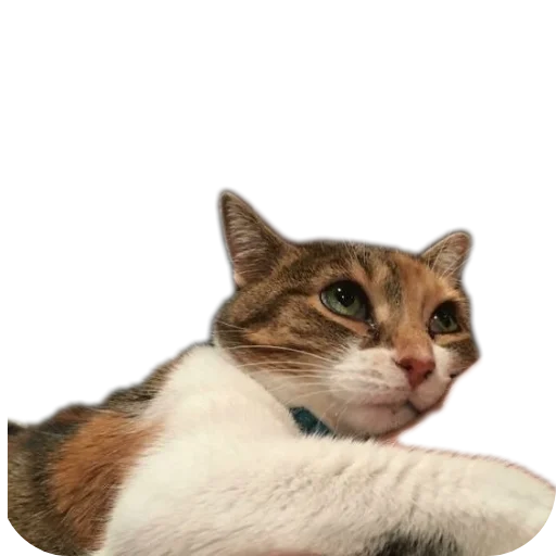 Sticker stickHUB18_34 - 1