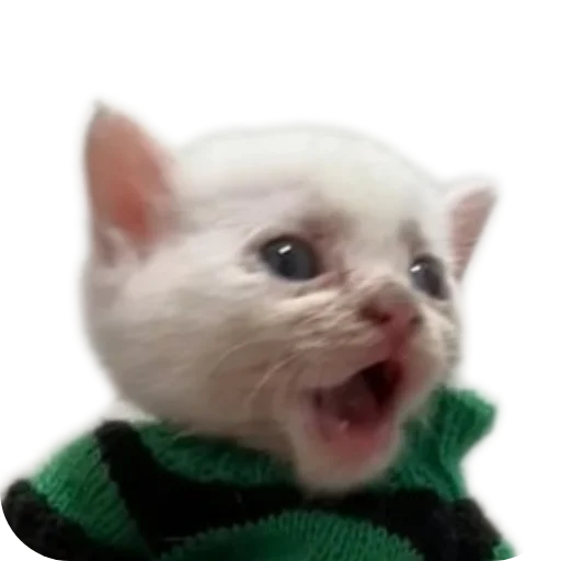 Sticker stickHUB18_34 - 1