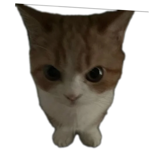 Sticker stickHUB18_34 - 1