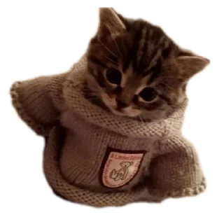 Sticker Какульки) • @StickBook18 - 10